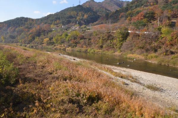 월학리냇강마을 이미지 4