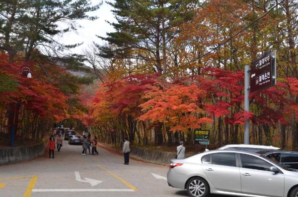 필례약수 이미지 2