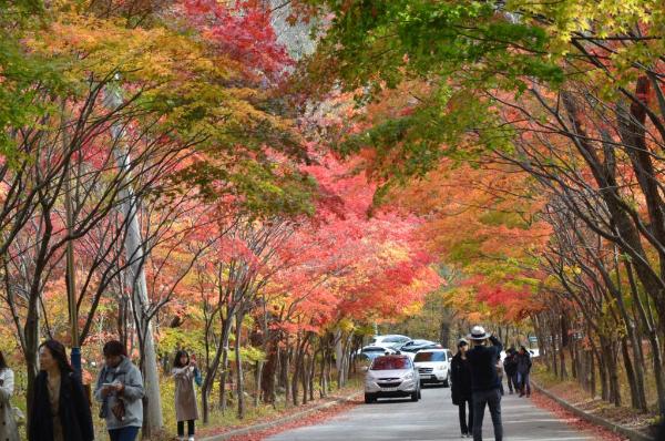 필례약수 이미지 6