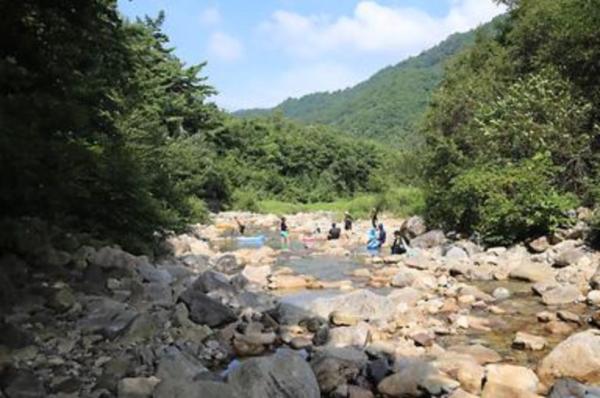 미시령계곡캠핑장 이미지 4