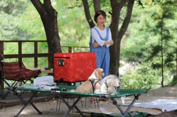 반디하우스캠핑장 이미지 2